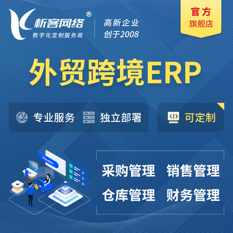 河池外贸跨境ERP软件生产海外仓ERP管理系统